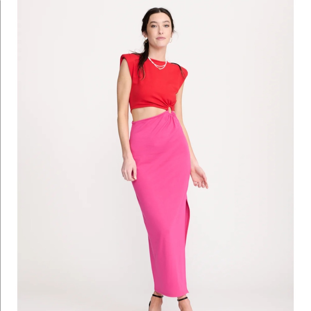 NWT Love Potion Dress